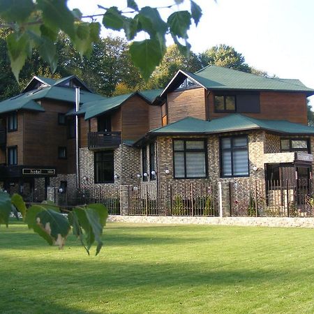 Hotel Hillden Lodge&Restaurant Drumu Carului Buitenkant foto