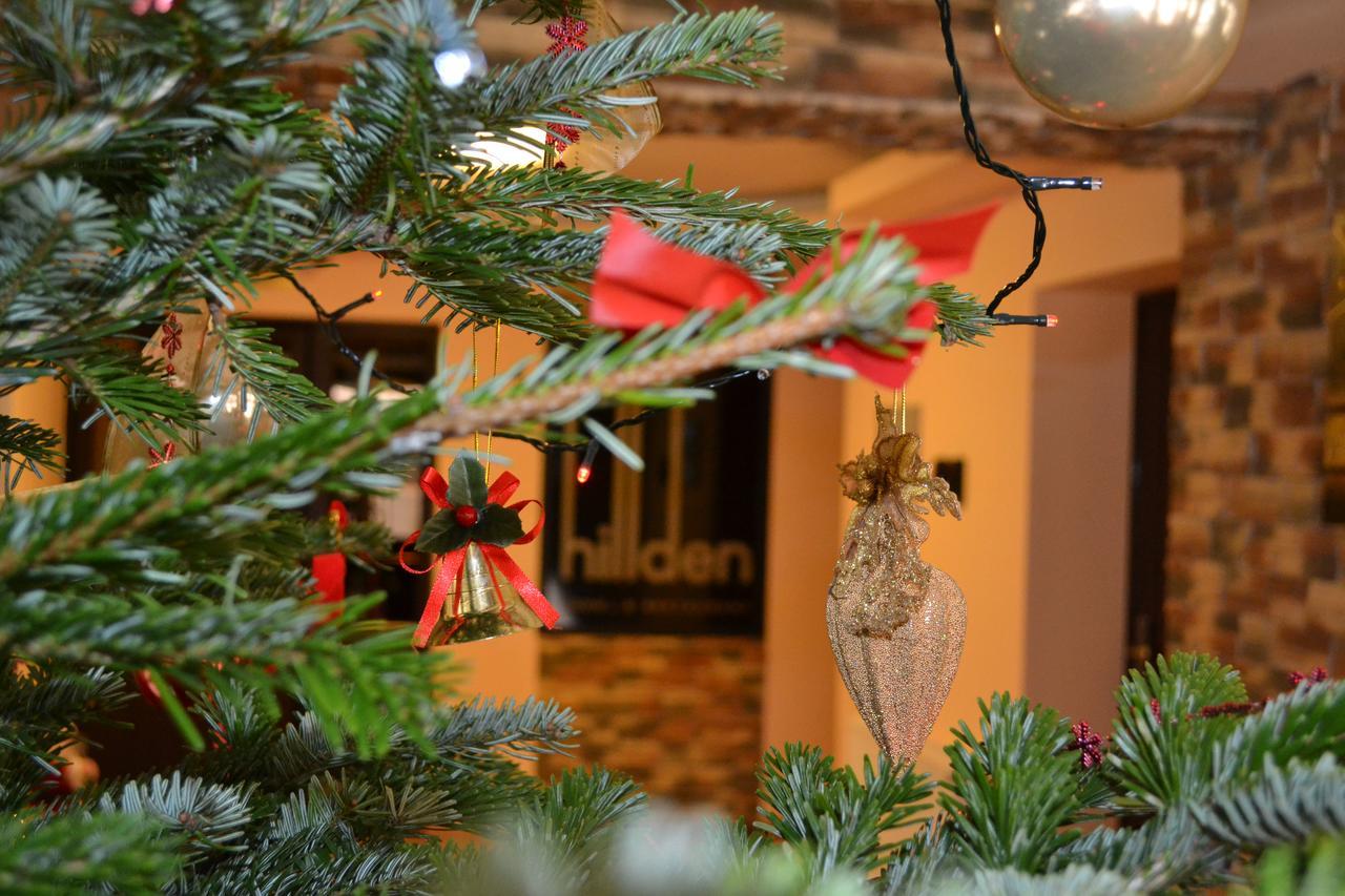 Hotel Hillden Lodge&Restaurant Drumu Carului Buitenkant foto